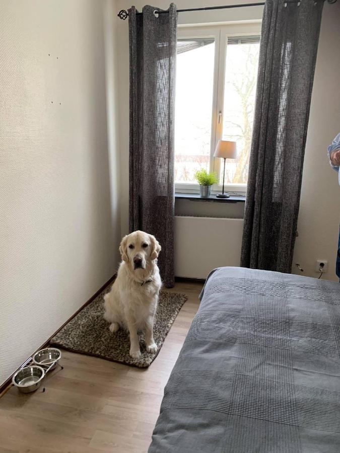 Bralanda Hotell Och Vandrarhem Exteriér fotografie